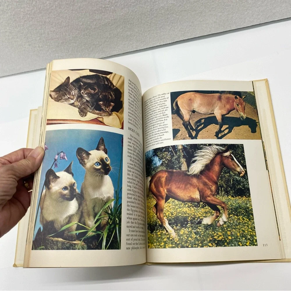 Disney's Wonderful World of Knowledge Book Danbury Press 1971 Hardback Vol 1